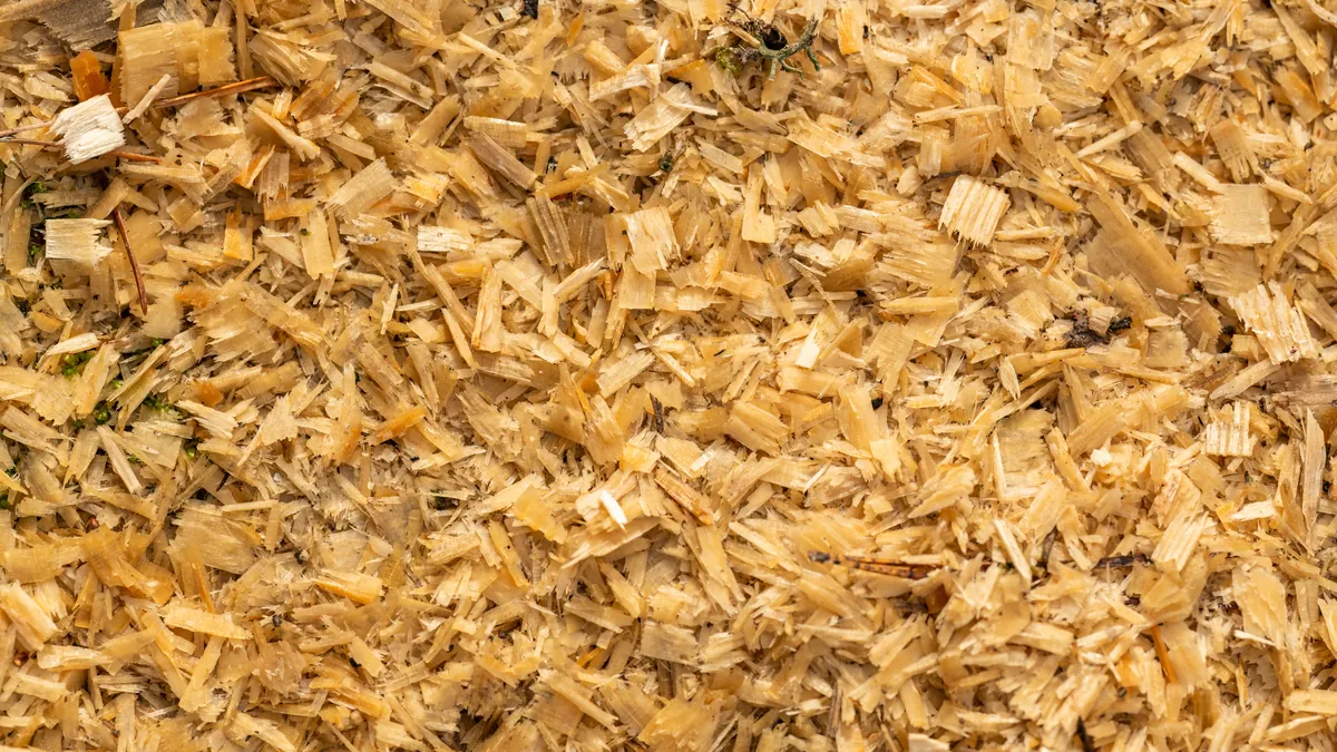 Feine Holzspäne und Sägemehl nach Kappschnitten auf der Werkbank